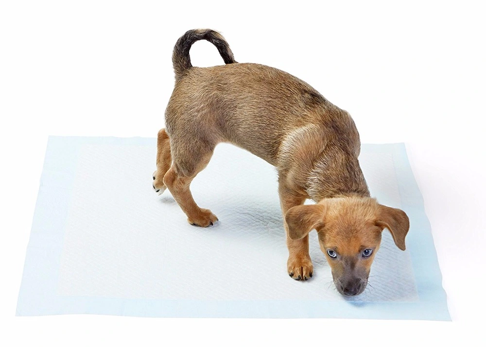 Yıkanabilir Köpek Çiş Pedi - 90 X 60 Cm 4 Yıkanabilir Köpek Çiş Pedi - 90 X 60 Cm - Görsel 4
