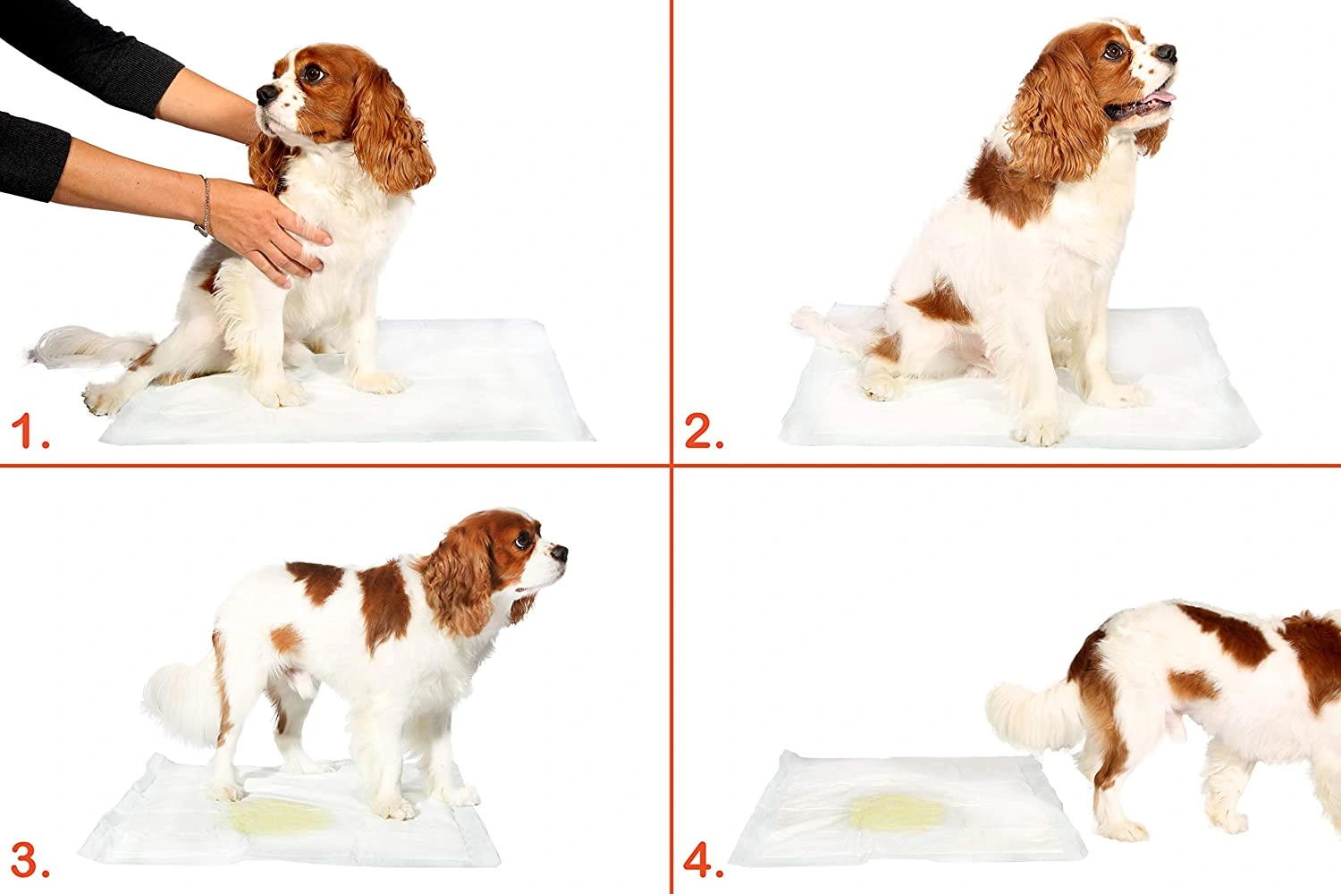 Yıkanabilir Köpek Çiş Pedi - 90 X 60 Cm 5li Paket 2 Yıkanabilir Köpek Çiş Pedi - 90 X 60 Cm 5li Paket - Görsel 2